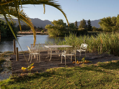 Kloofzicht Estate Country House The Loft Tulbagh Western Cape South Africa Lake, Nature, Waters, Palm Tree, Plant, Wood