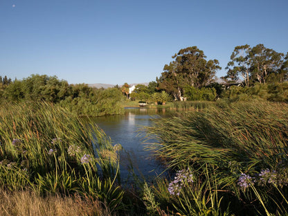 Kloofzicht Estate Country House The Loft Tulbagh Western Cape South Africa Complementary Colors, River, Nature, Waters