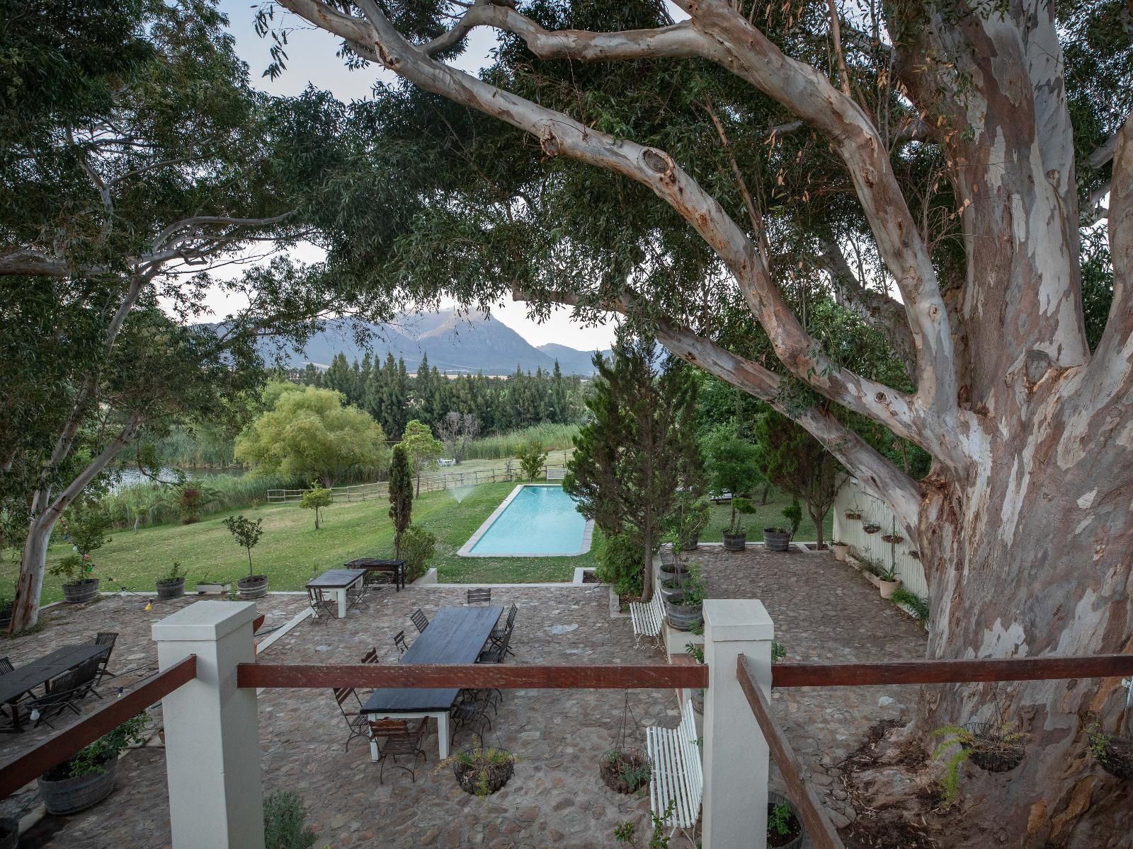 Kloofzicht Estate Country House The Loft Tulbagh Western Cape South Africa Plant, Nature, Framing, Garden, Swimming Pool