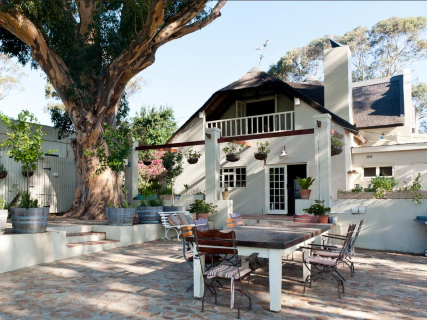 Kloofzicht Estate Country House The Loft Tulbagh Western Cape South Africa House, Building, Architecture, Palm Tree, Plant, Nature, Wood