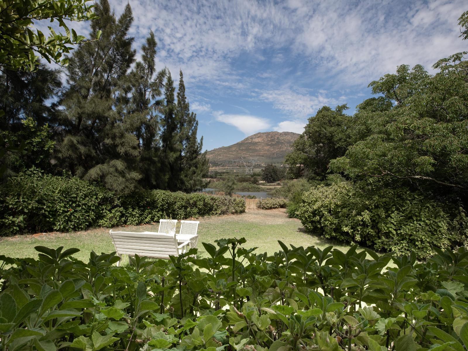 Kloofzicht Estate Country House The Loft Tulbagh Western Cape South Africa Garden, Nature, Plant