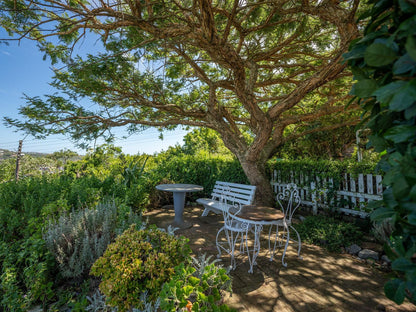 The Lookout Guest House Port Alfred Eastern Cape South Africa Plant, Nature, Garden