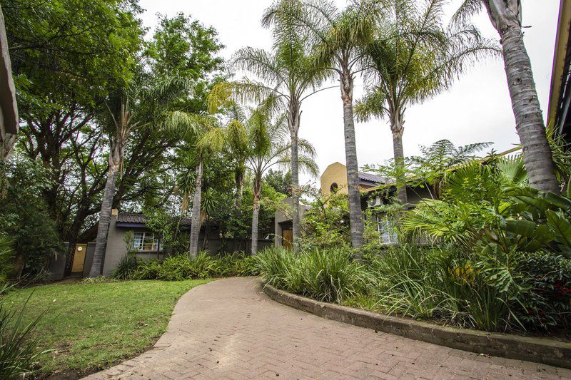 The Meadows Guest House Aviary Hill Newcastle Kwazulu Natal South Africa House, Building, Architecture, Palm Tree, Plant, Nature, Wood