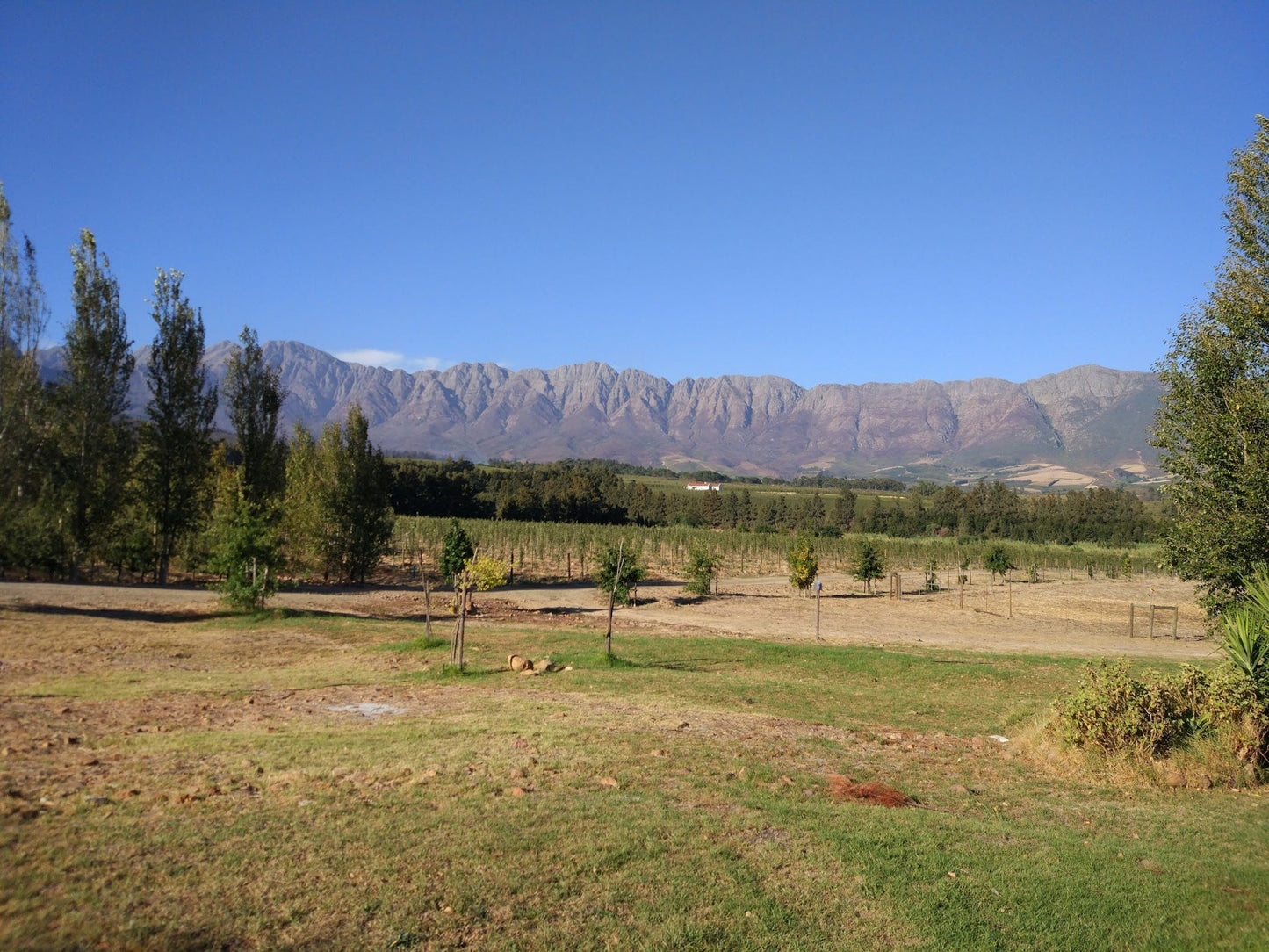 Themika Guest Farm Tulbagh Western Cape South Africa Complementary Colors, Mountain, Nature