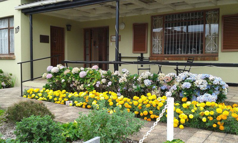 The Olde House Toc H Mill Park Port Elizabeth Eastern Cape South Africa Flower, Plant, Nature