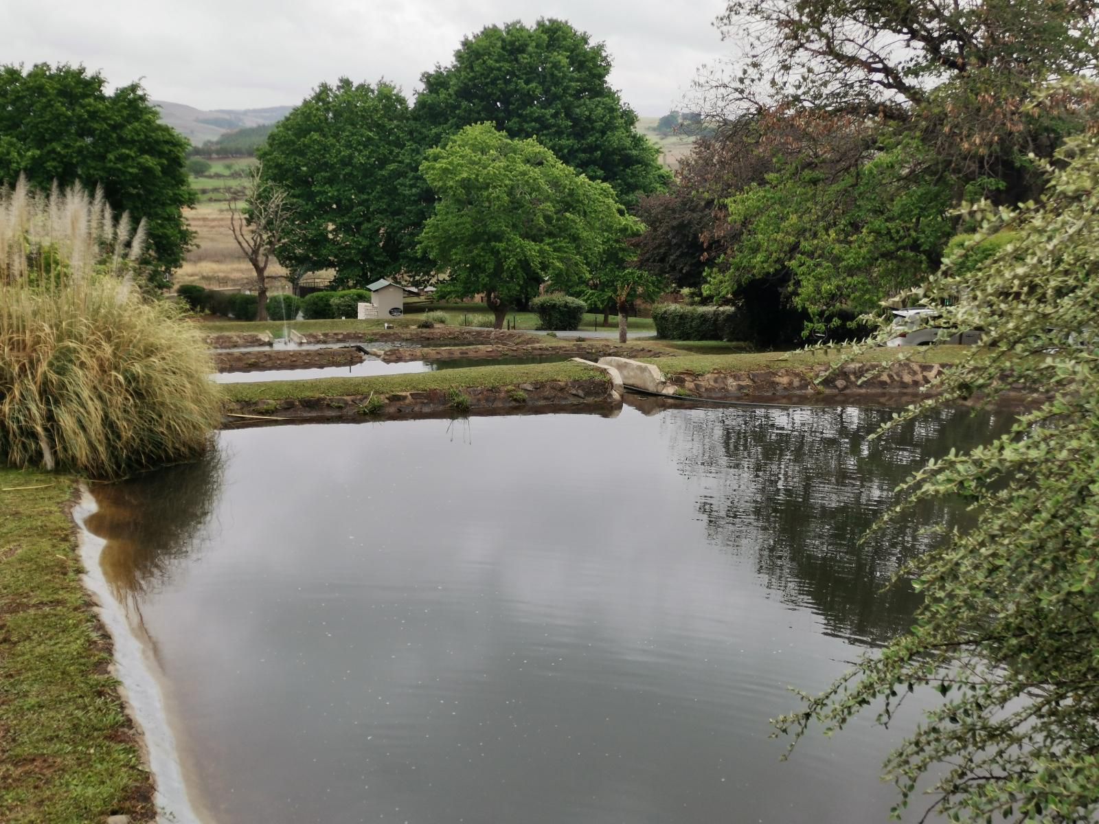 The Old Hatchery Mountain Retreat And Waterfall Restaurant And Pub Underberg Kwazulu Natal South Africa River, Nature, Waters, Garden, Plant