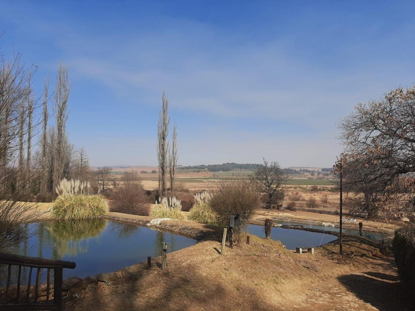 The Old Hatchery Mountain Retreat And Waterfall Restaurant And Pub Underberg Kwazulu Natal South Africa Lowland, Nature