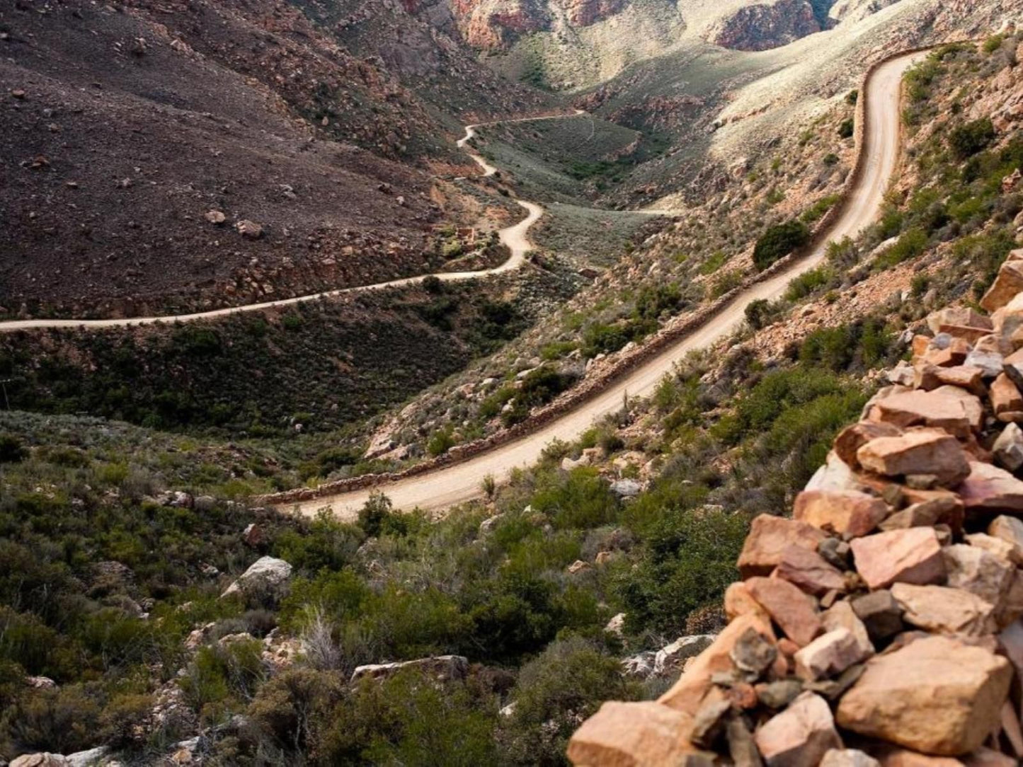 The Olive Thrush Prince Albert Western Cape South Africa Canyon, Nature, Cycling, Sport, Bicycle, Vehicle, Street