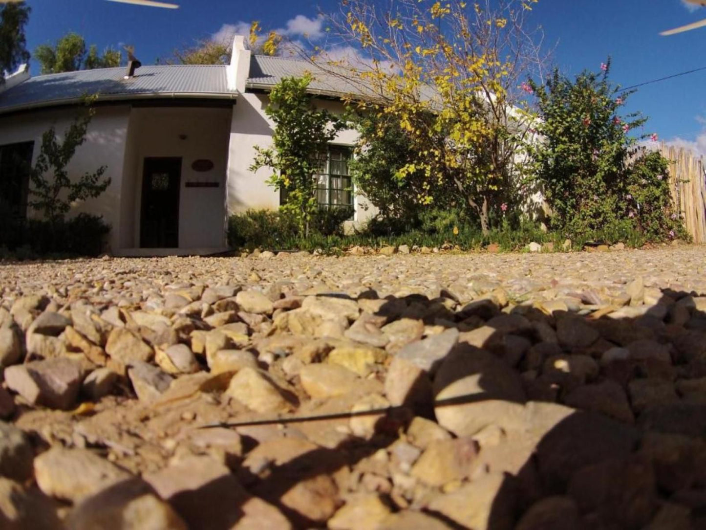 The Olive Thrush Prince Albert Western Cape South Africa House, Building, Architecture