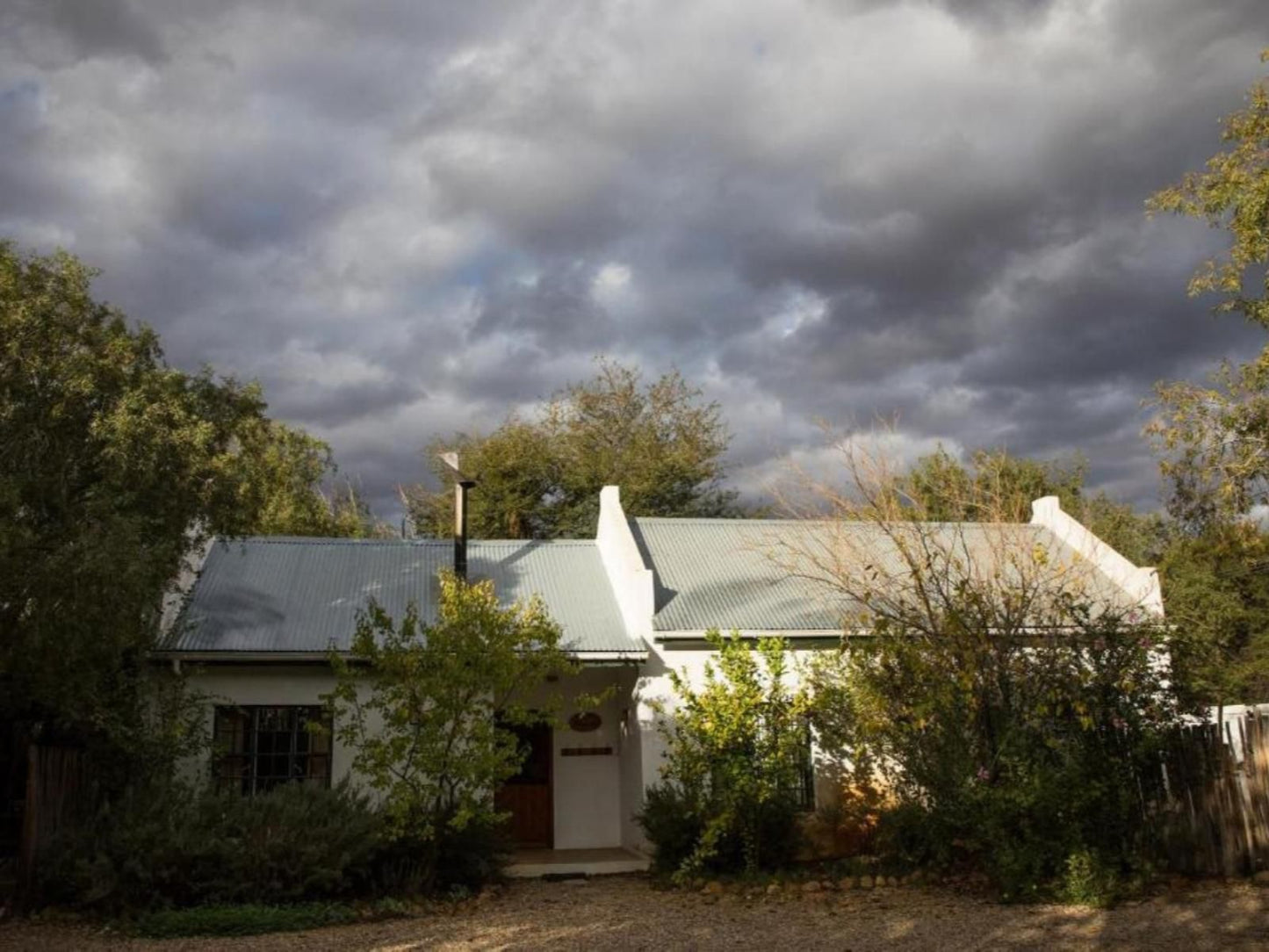 The Olive Thrush Prince Albert Western Cape South Africa House, Building, Architecture, Window