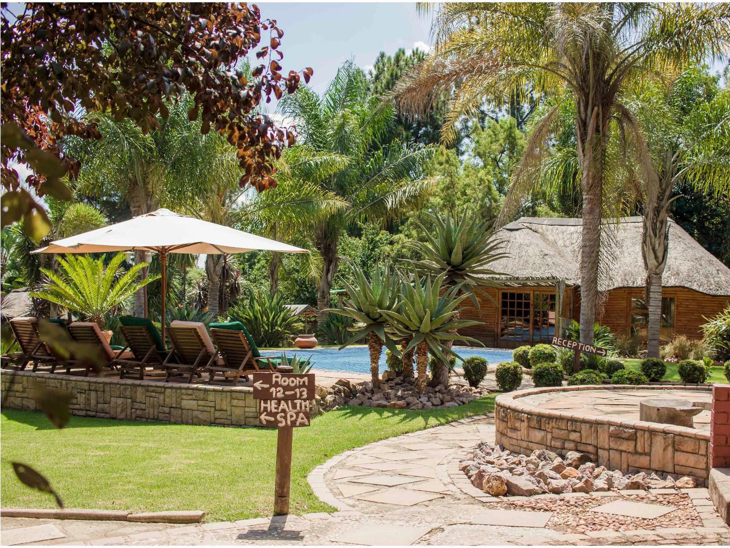 The Orchards Executive Accommodation Midrand Midrand Johannesburg Gauteng South Africa Palm Tree, Plant, Nature, Wood, Swimming Pool