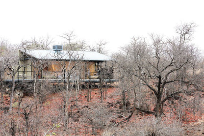 The Outpost Pafuri Gate Mpumalanga South Africa Unsaturated, Barn, Building, Architecture, Agriculture, Wood