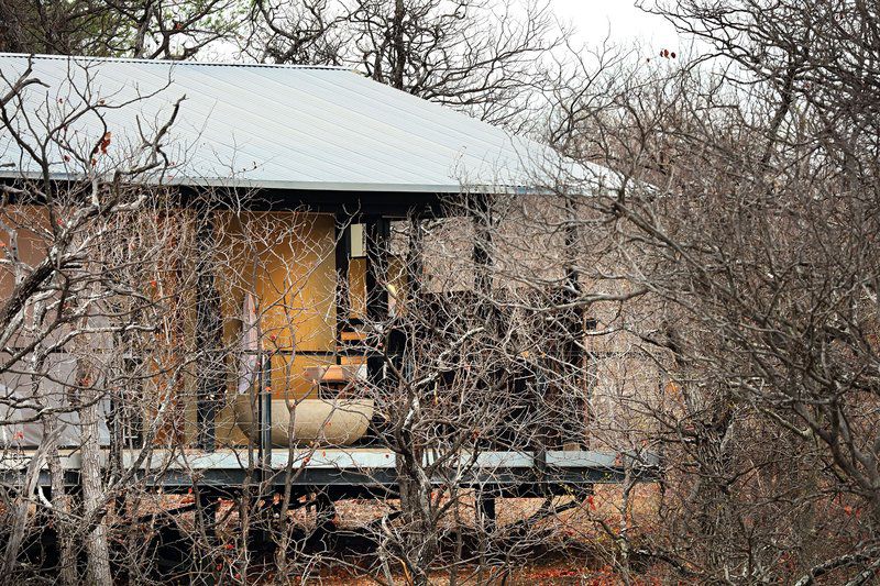 The Outpost Pafuri Gate Mpumalanga South Africa Train, Vehicle, Barn, Building, Architecture, Agriculture, Wood