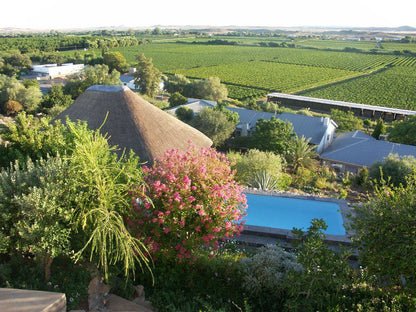 The Overlook Keimoes Northern Cape South Africa Garden, Nature, Plant