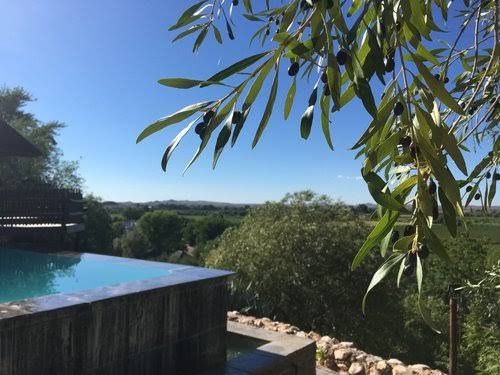 The Overlook Keimoes Northern Cape South Africa Tree, Plant, Nature, Wood, Garden, Swimming Pool