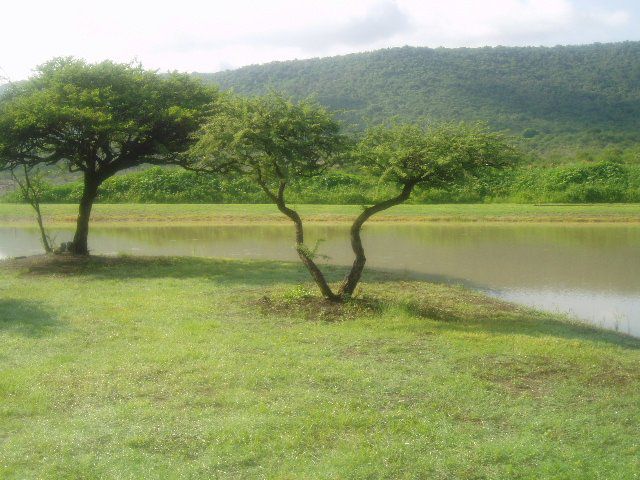 Owl And Elephant Lodge Weenen Kwazulu Natal South Africa Lake, Nature, Waters, River, Tree, Plant, Wood