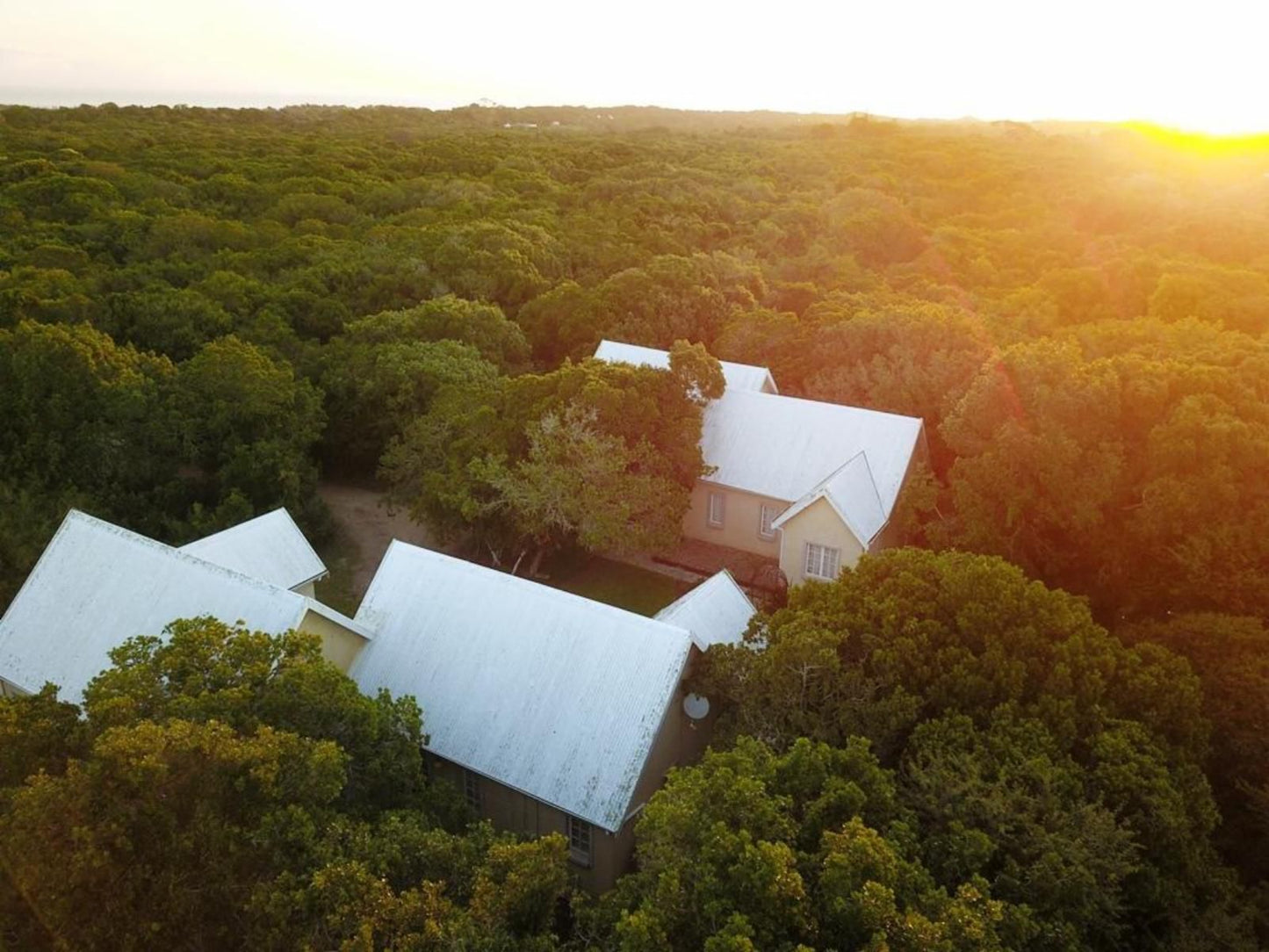 The Plantation Lovemore Park Port Elizabeth Eastern Cape South Africa Building, Architecture, Tree, Plant, Nature, Wood