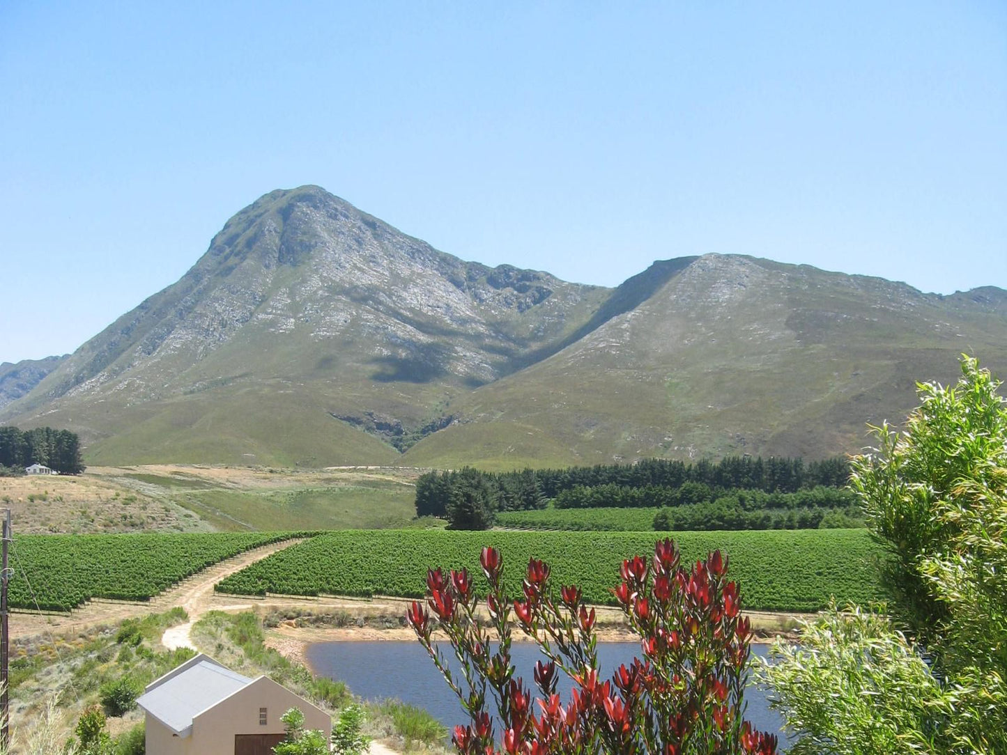 The Potting Shed Guest House Hermanus Western Cape South Africa Complementary Colors, Mountain, Nature, Highland