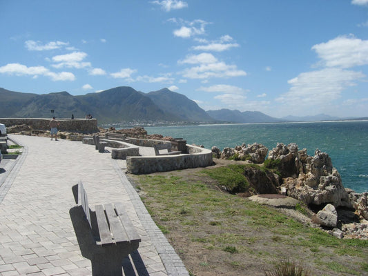 The Potting Shed Guest House Hermanus Western Cape South Africa Beach, Nature, Sand, Mountain