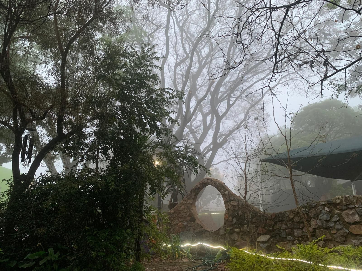 The Rabbit Hole Hotel Krugersdorp Gauteng South Africa Tree, Plant, Nature, Wood, Framing