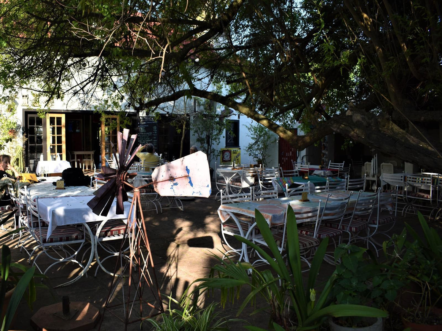 The Red Tin Roof Riebeek Kasteel Western Cape South Africa Palm Tree, Plant, Nature, Wood