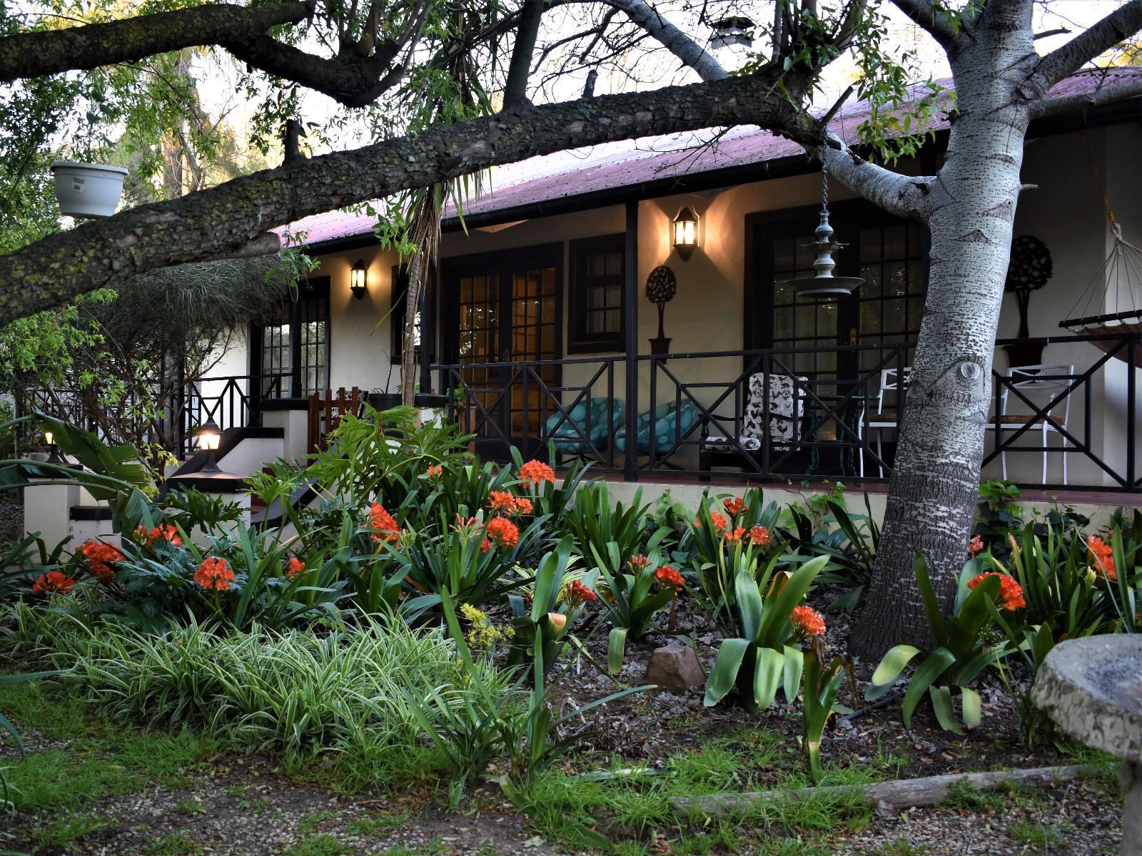 The Red Tin Roof Riebeek Kasteel Western Cape South Africa House, Building, Architecture, Plant, Nature