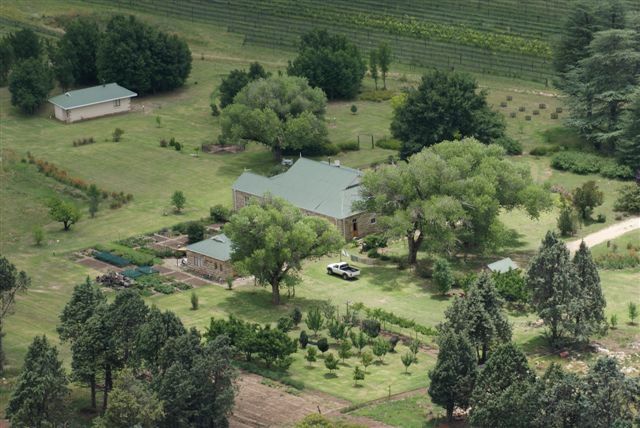 The Rose House Fouriesburg Free State South Africa Tree, Plant, Nature, Wood, Aerial Photography