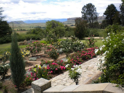 The Rose House Fouriesburg Free State South Africa Plant, Nature, Garden