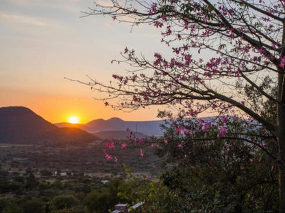 The Royal Palm Bed And Breakfast Ohrigstad Limpopo Province South Africa Plant, Nature, Sunset, Sky