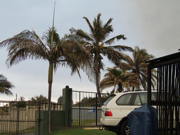 The Shack Scottburgh Kwazulu Natal South Africa Palm Tree, Plant, Nature, Wood, Car, Vehicle