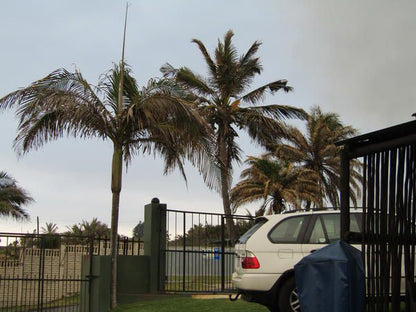 The Shack Scottburgh Kwazulu Natal South Africa Palm Tree, Plant, Nature, Wood, Car, Vehicle