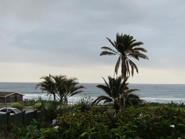The Shack Scottburgh Kwazulu Natal South Africa Beach, Nature, Sand, Palm Tree, Plant, Wood, Ocean, Waters