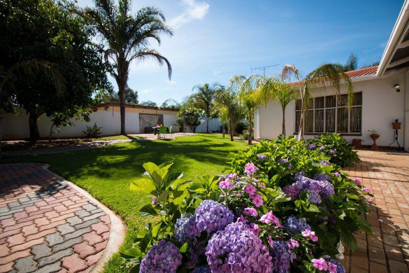 The Shamrock Lodge Polokwane Pietersburg Limpopo Province South Africa Complementary Colors, House, Building, Architecture, Palm Tree, Plant, Nature, Wood, Garden