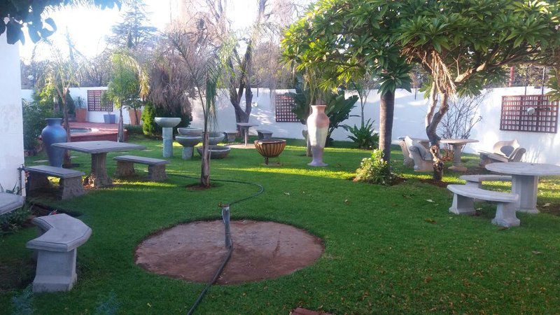 The Shamrock Lodge Polokwane Pietersburg Limpopo Province South Africa Cat, Mammal, Animal, Pet, Palm Tree, Plant, Nature, Wood, Cemetery, Religion, Grave, Garden, Living Room, Swimming Pool