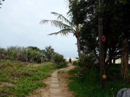 The Shores Ramsgate South Margate Kwazulu Natal South Africa Beach, Nature, Sand, Palm Tree, Plant, Wood