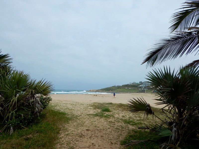 The Shores Ramsgate South Margate Kwazulu Natal South Africa Beach, Nature, Sand, Palm Tree, Plant, Wood