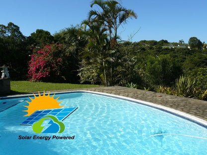 Thesolution Bnb Beacon Bay East London Eastern Cape South Africa Palm Tree, Plant, Nature, Wood, Swimming Pool