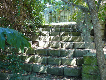 Thesolution Bnb Beacon Bay East London Eastern Cape South Africa Plant, Nature, Stairs, Architecture, Tree, Wood, Garden