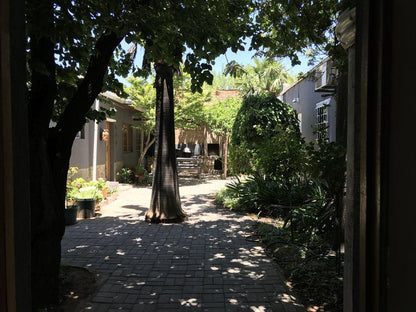 The Stables Bandb The Stables Guest House Middelburg Eastern Cape Eastern Cape South Africa House, Building, Architecture, Palm Tree, Plant, Nature, Wood, Garden