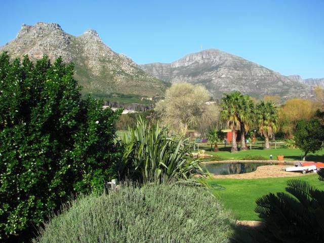 The Stables Hout Bay Cape Town Western Cape South Africa Complementary Colors, Palm Tree, Plant, Nature, Wood, Garden