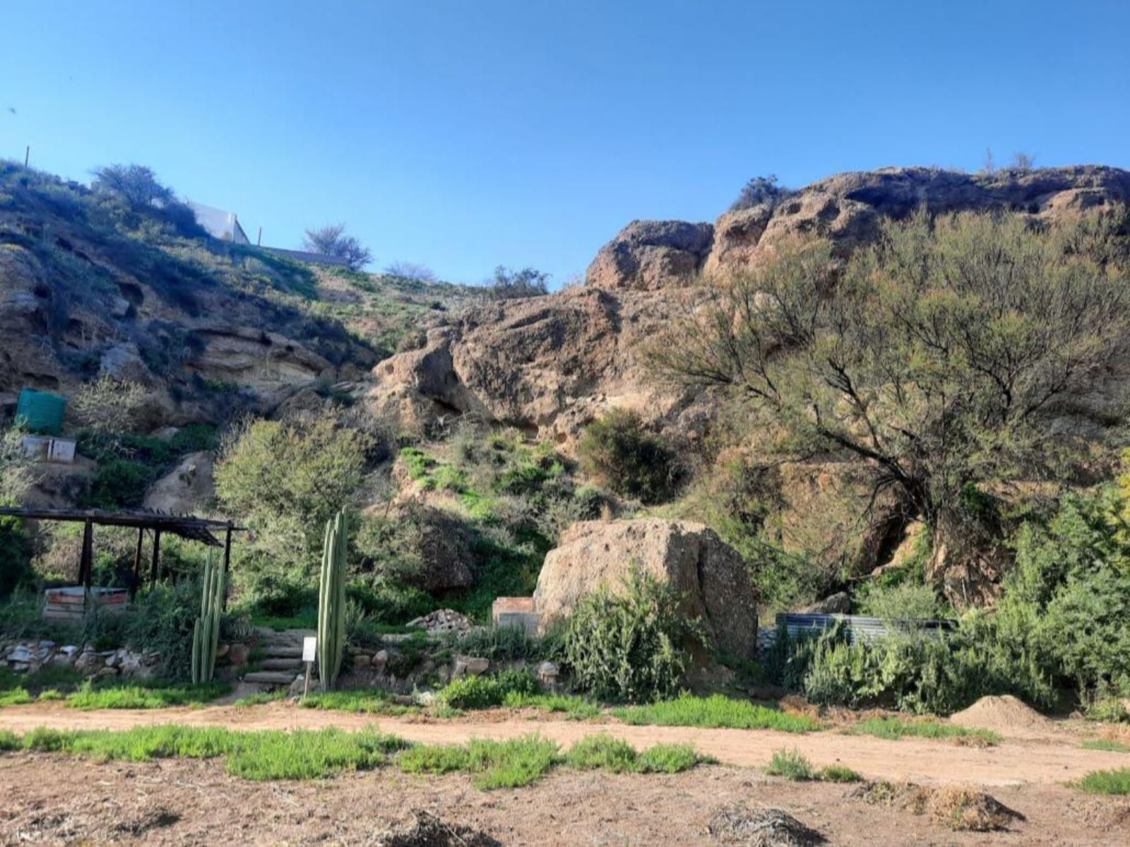 The Station Calitzdorp Calitzdorp Western Cape South Africa Complementary Colors, Cactus, Plant, Nature