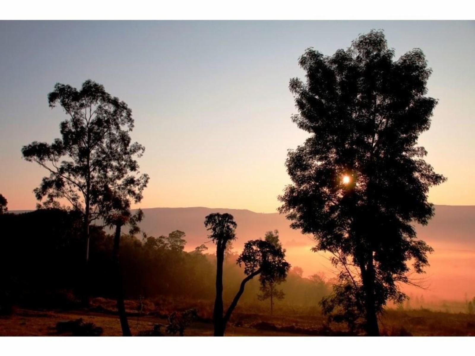 The Stix Dullstroom Mpumalanga South Africa Sky, Nature, Sunset