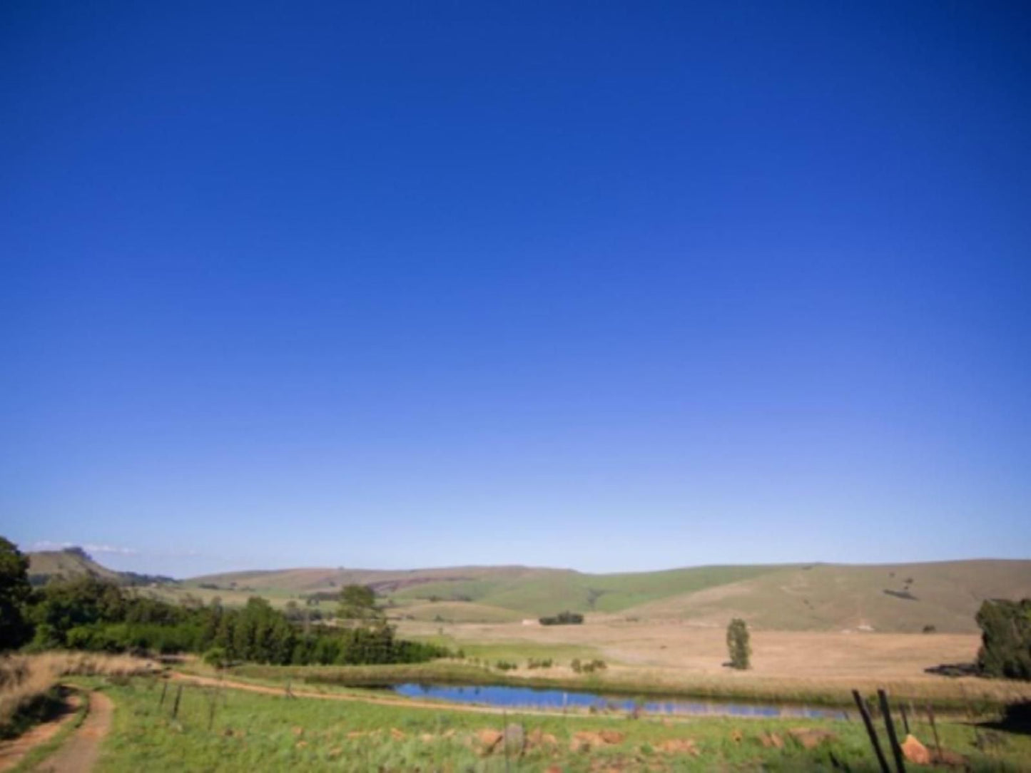 The Stix Dullstroom Mpumalanga South Africa Complementary Colors, Colorful, Nature