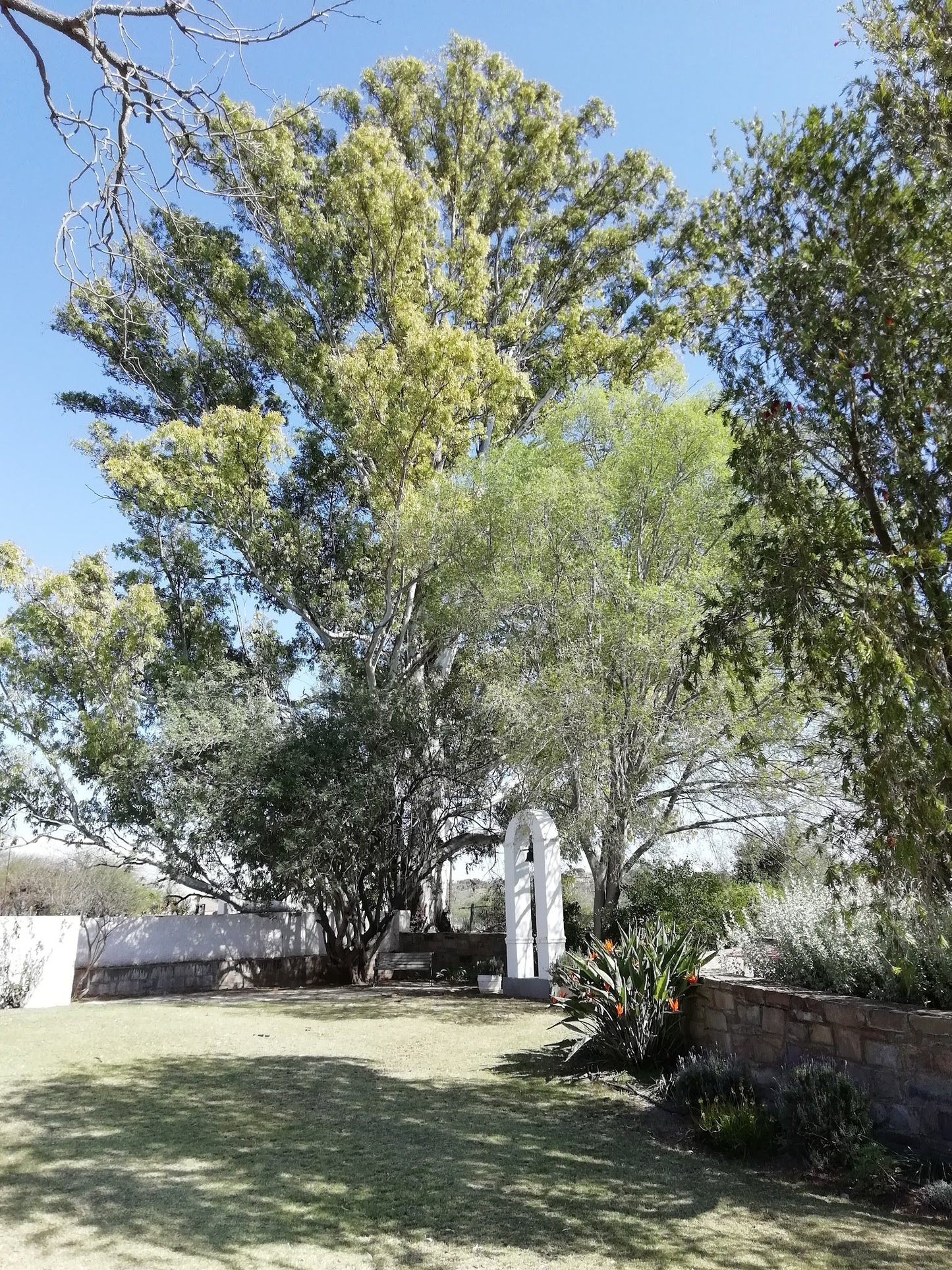 The Stone Cottage Pearston Eastern Cape South Africa Plant, Nature, Tree, Wood