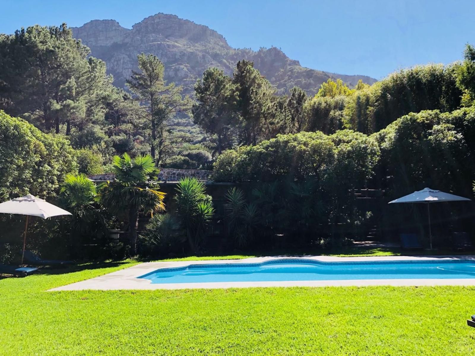 The Tarragon Hout Bay Cape Town Western Cape South Africa Complementary Colors, Garden, Nature, Plant, Swimming Pool