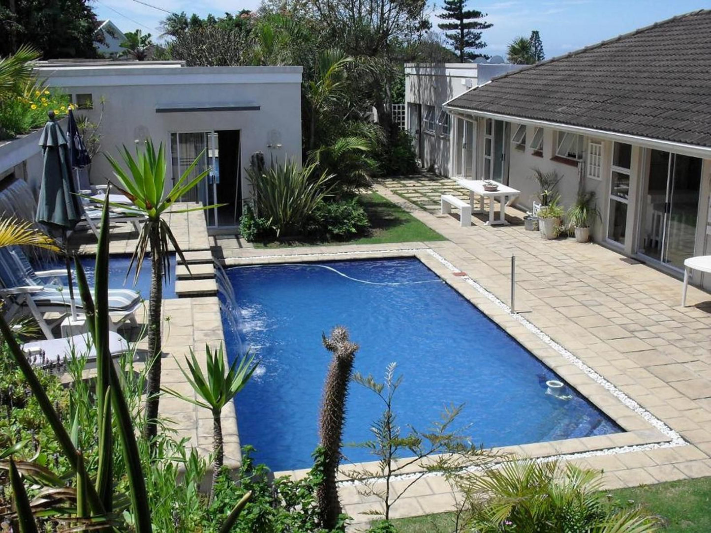 The Terrace Nahoon East London Eastern Cape South Africa House, Building, Architecture, Palm Tree, Plant, Nature, Wood, Garden, Swimming Pool