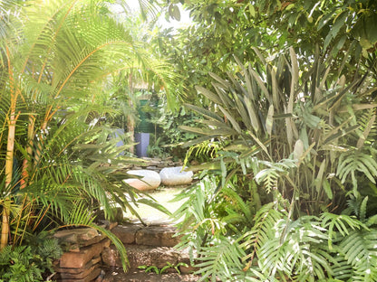 The Terrace Nahoon East London Eastern Cape South Africa Palm Tree, Plant, Nature, Wood, Tree, Garden