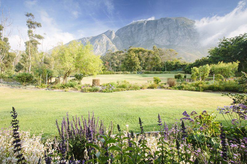 The Thatch House Boutique Hotel Maanschijnkop Hermanus Western Cape South Africa Complementary Colors, Mountain, Nature, Garden, Plant