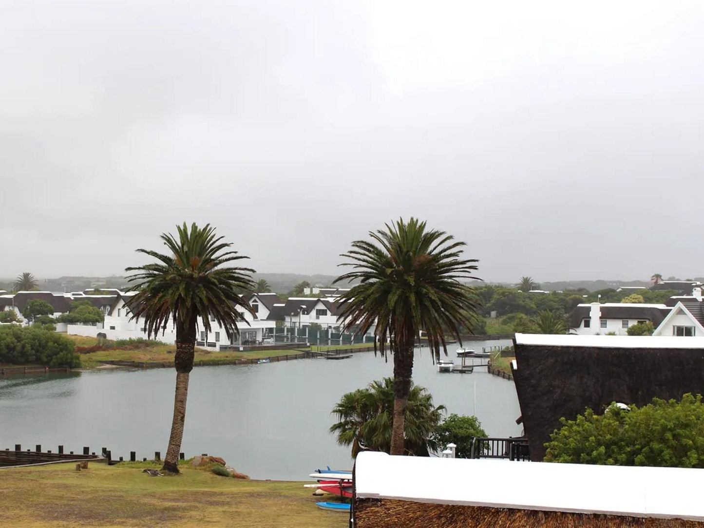 The Tin Shack St Francis Bay Eastern Cape South Africa Palm Tree, Plant, Nature, Wood