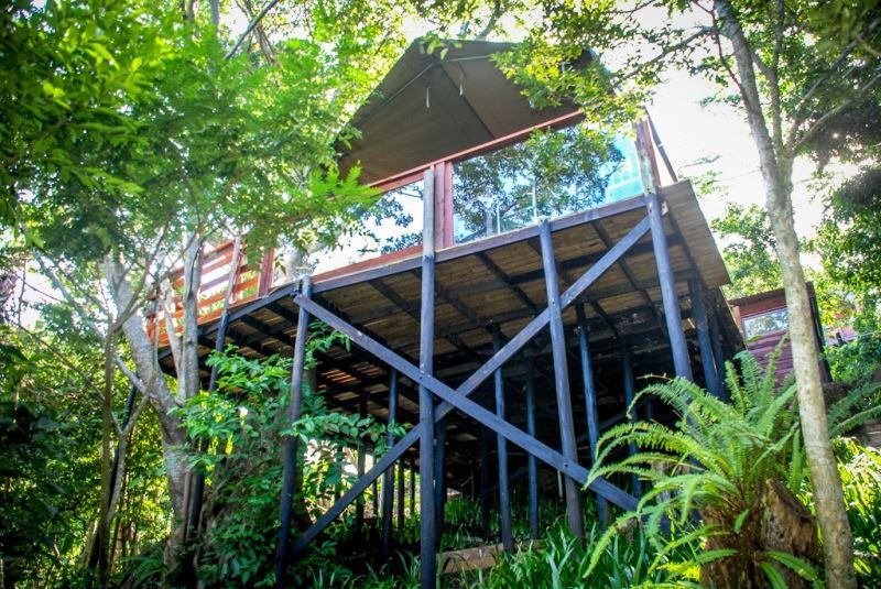 The Tree House Rennies Beach Port Edward Kwazulu Natal South Africa 